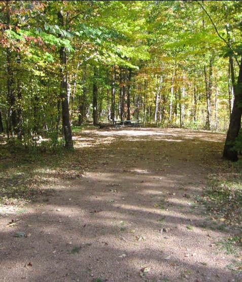 Camper-submitted photo at Marathon County Dells of the Eau Claire Park near Manawa, WI
