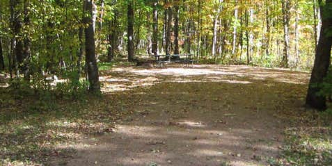 Camper submitted image from Marathon County Dells of the Eau Claire Park