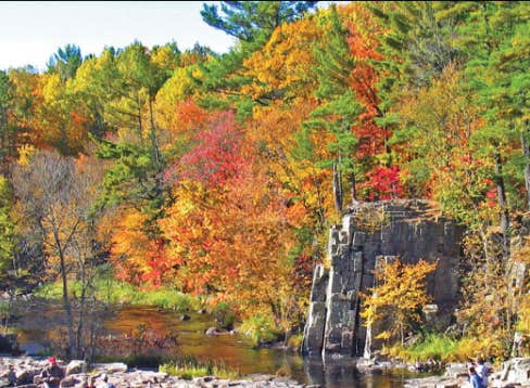 Camper submitted image from Marathon County Dells of the Eau Claire Park - 2