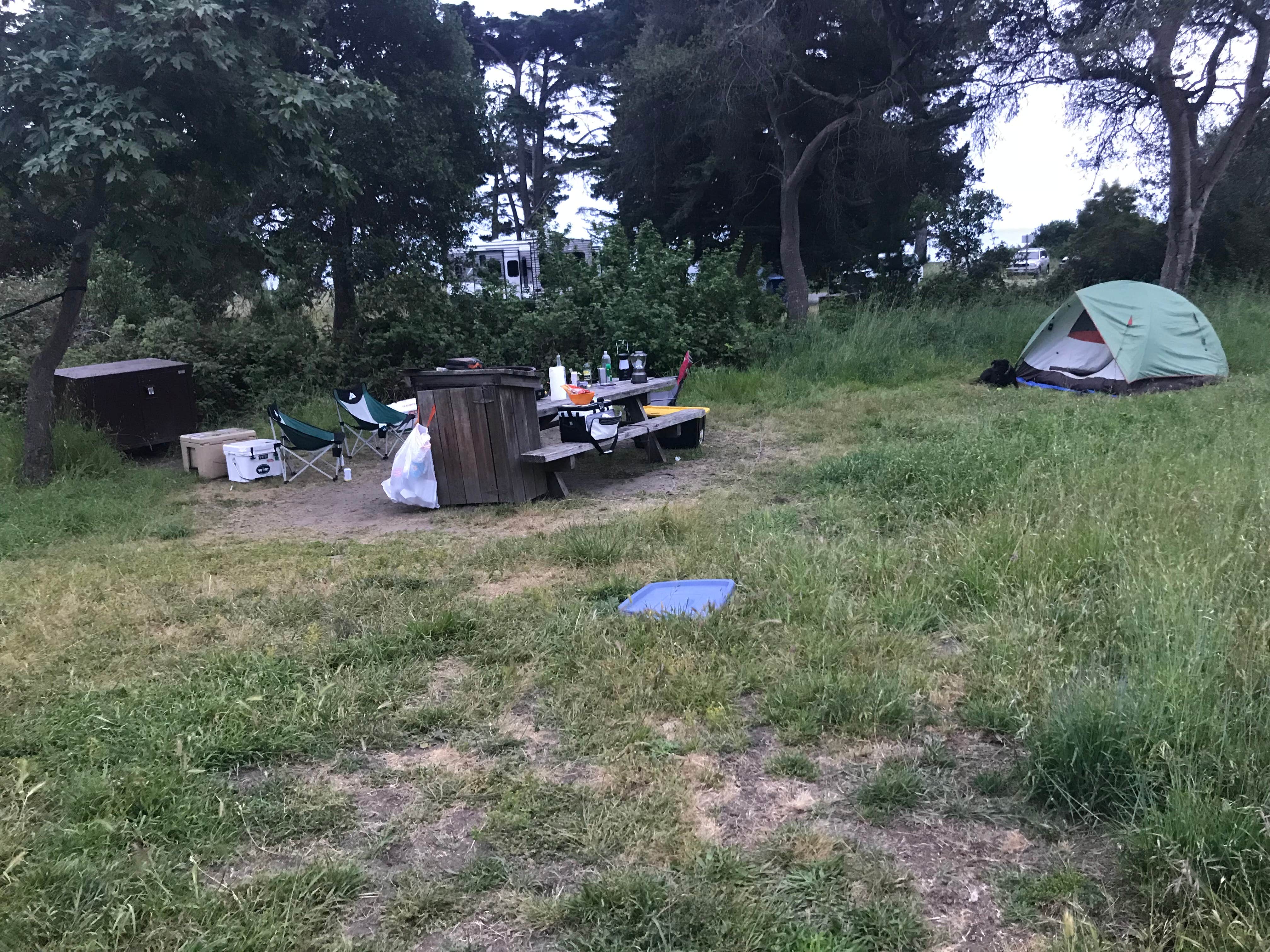 Darin D.'s photo at New Brighton State Beach Campground near Mount Hermon, CA