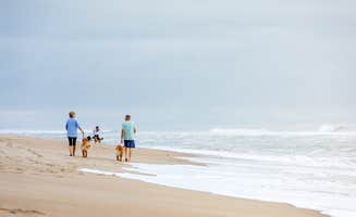 Jessica W.'s photo of camping with pets at Camp Hatteras in North Carolina
