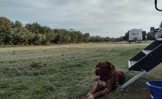 Drexel M.'s photo of camping with pets at Victoria City RV Park near Cuero, TX