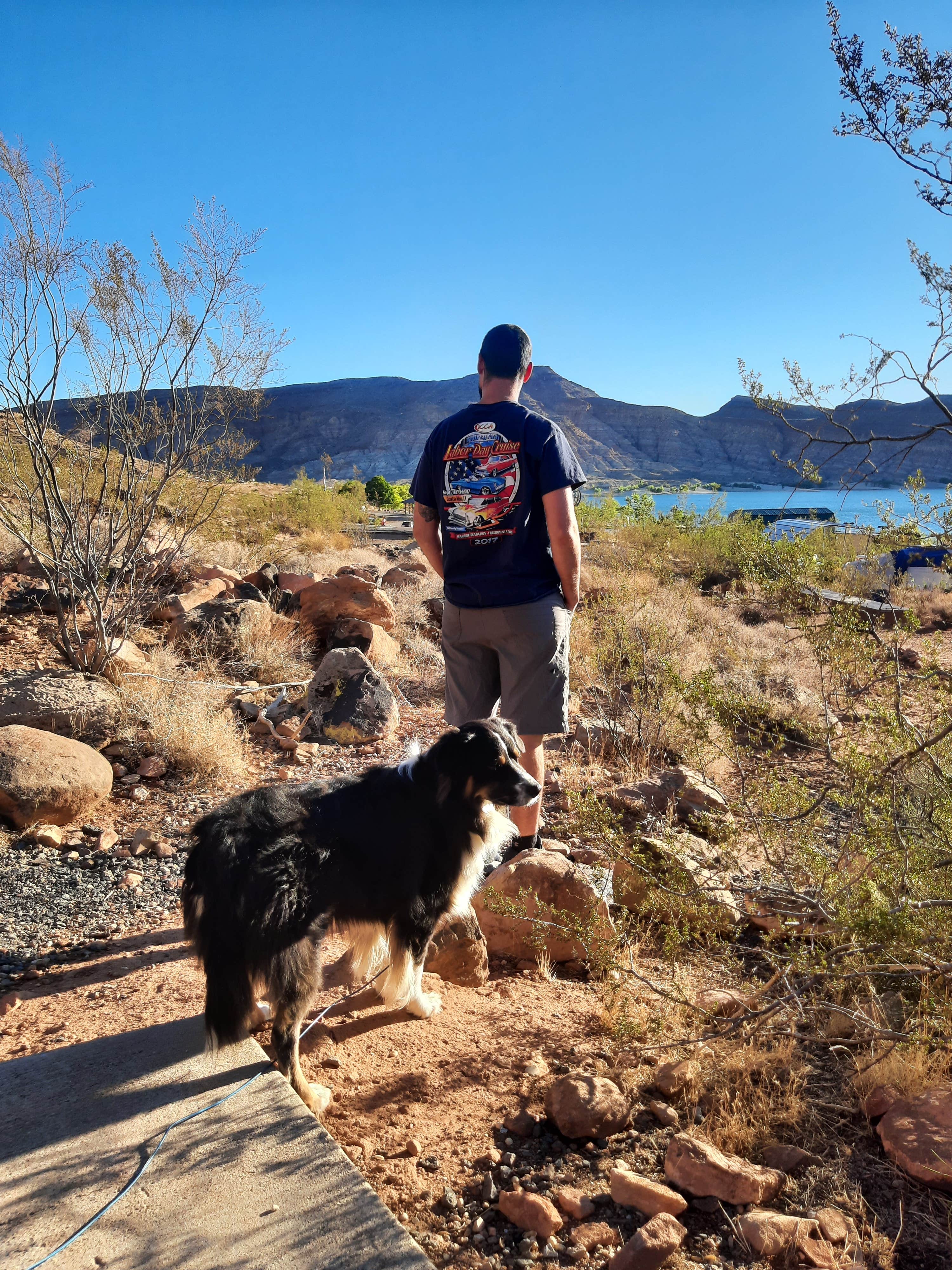 taylor's photo of camping with pets at Quail Creek State Park Campground near Washington, UT