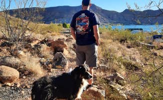 taylor's photo of camping with pets at Quail Creek State Park Campground near Enterprise, UT