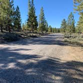 Review photo of Tom Best Spring Road FR117 Dispersed - Dixie National Forest by Timothy E., September 22, 2021