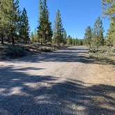 Review photo of Tom Best Spring Road FR117 Dispersed - Dixie National Forest by Timothy E., September 22, 2021