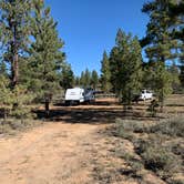 Review photo of Tom Best Spring Road FR117 Dispersed - Dixie National Forest by Timothy E., September 22, 2021