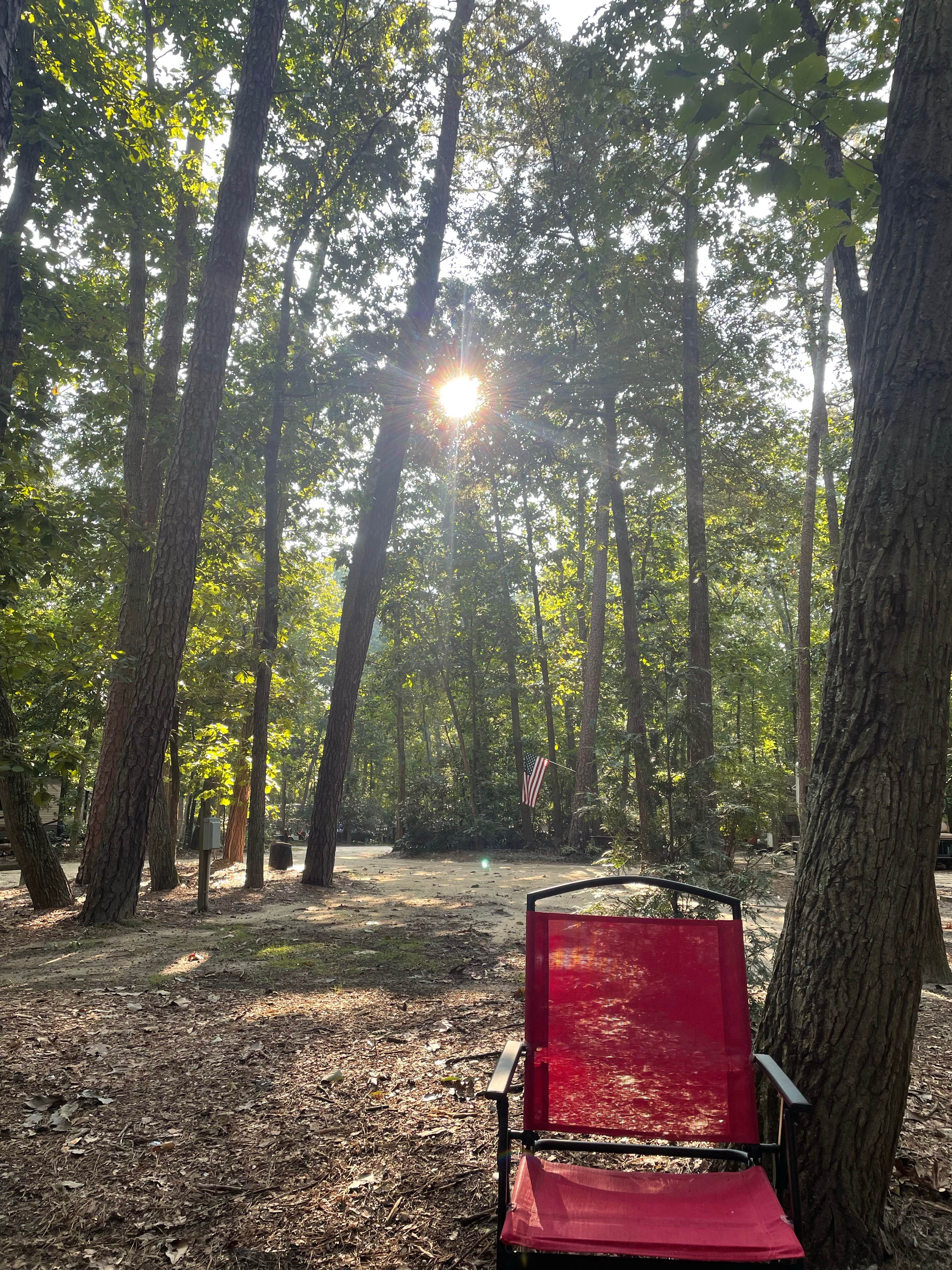 Camper submitted image from Winding River Campground - 3