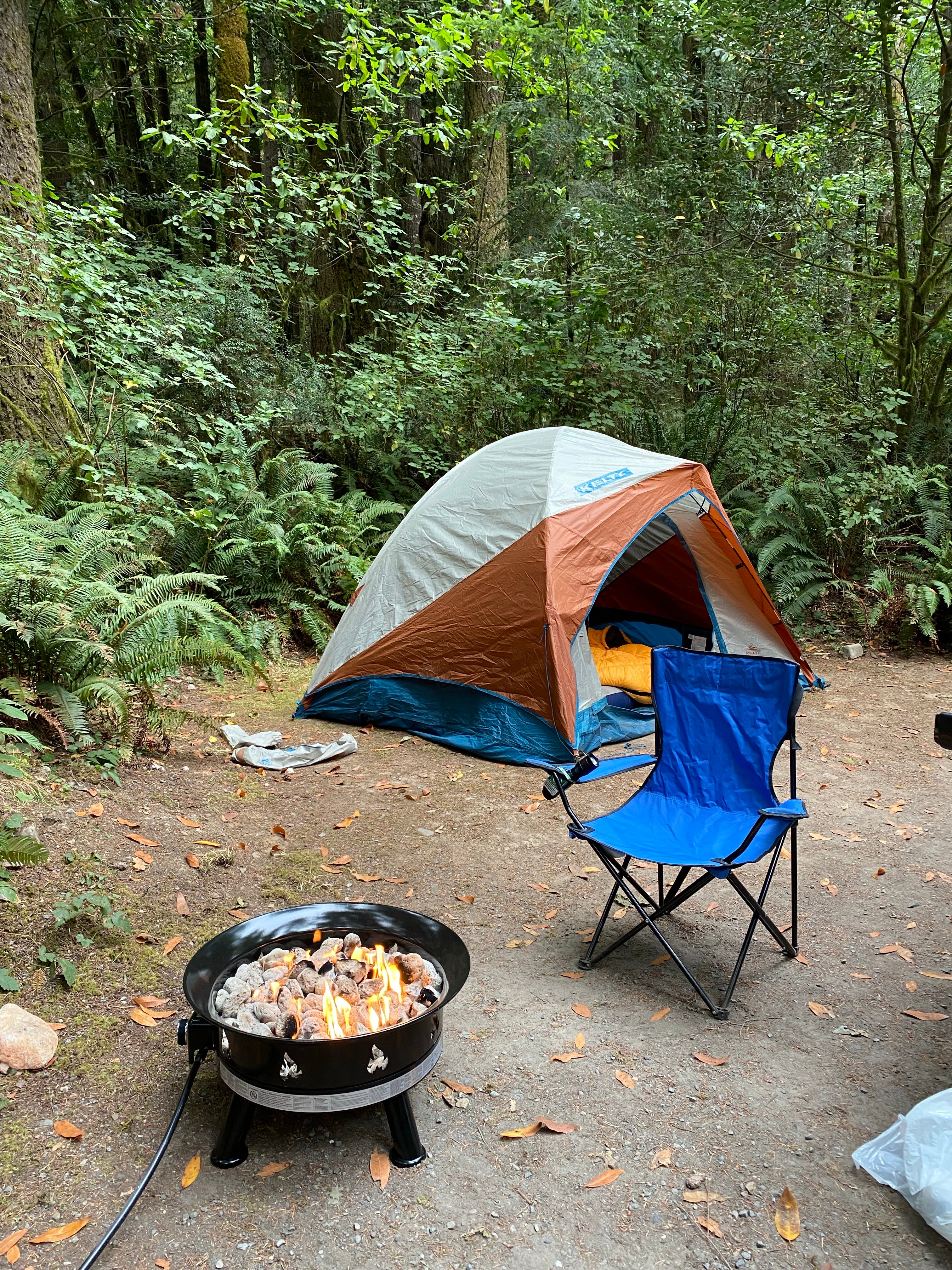 Camper submitted image from Ludlum Campground - 2