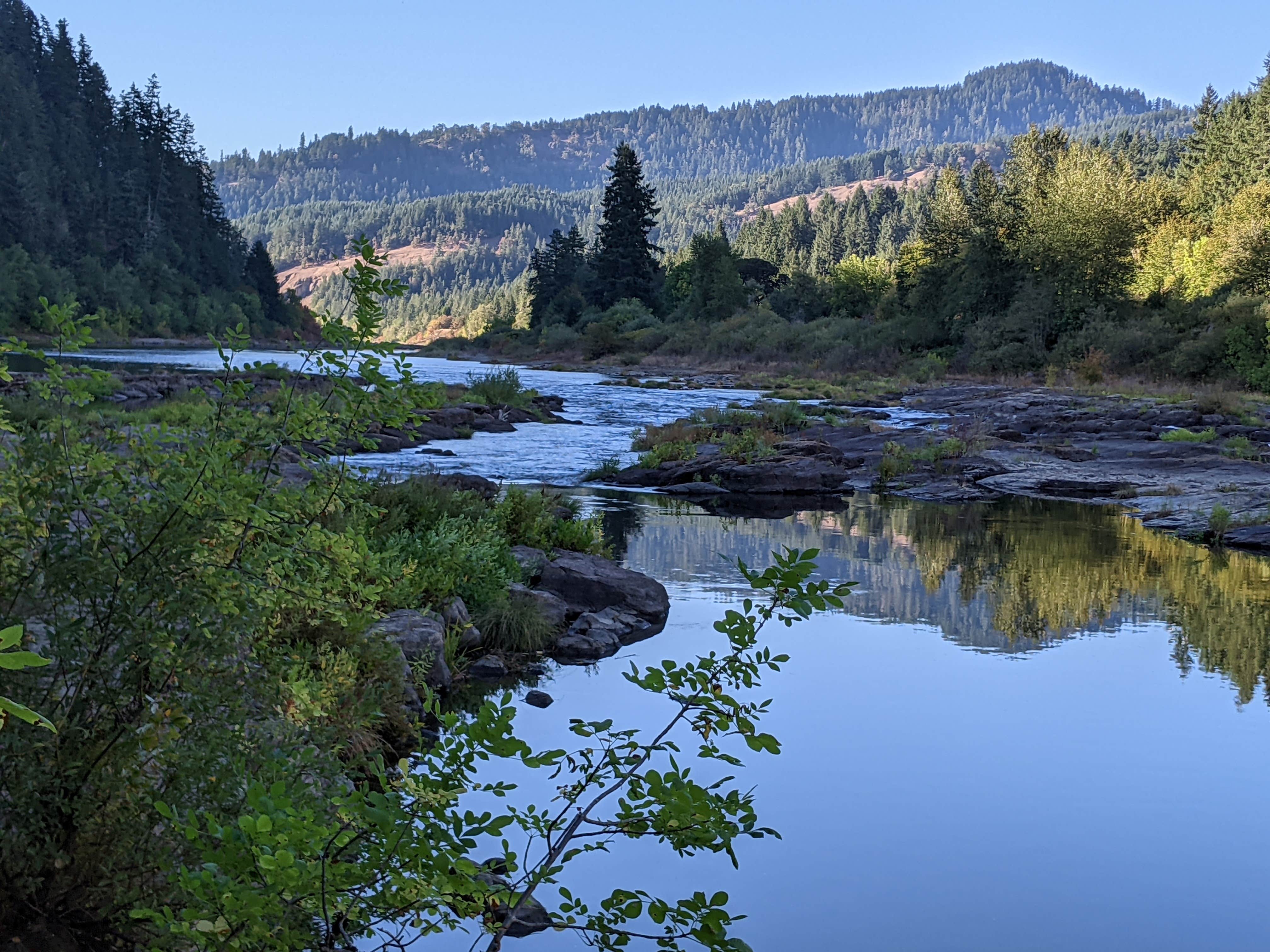 Camper submitted image from Tyee Campground (umpqua River) - 3