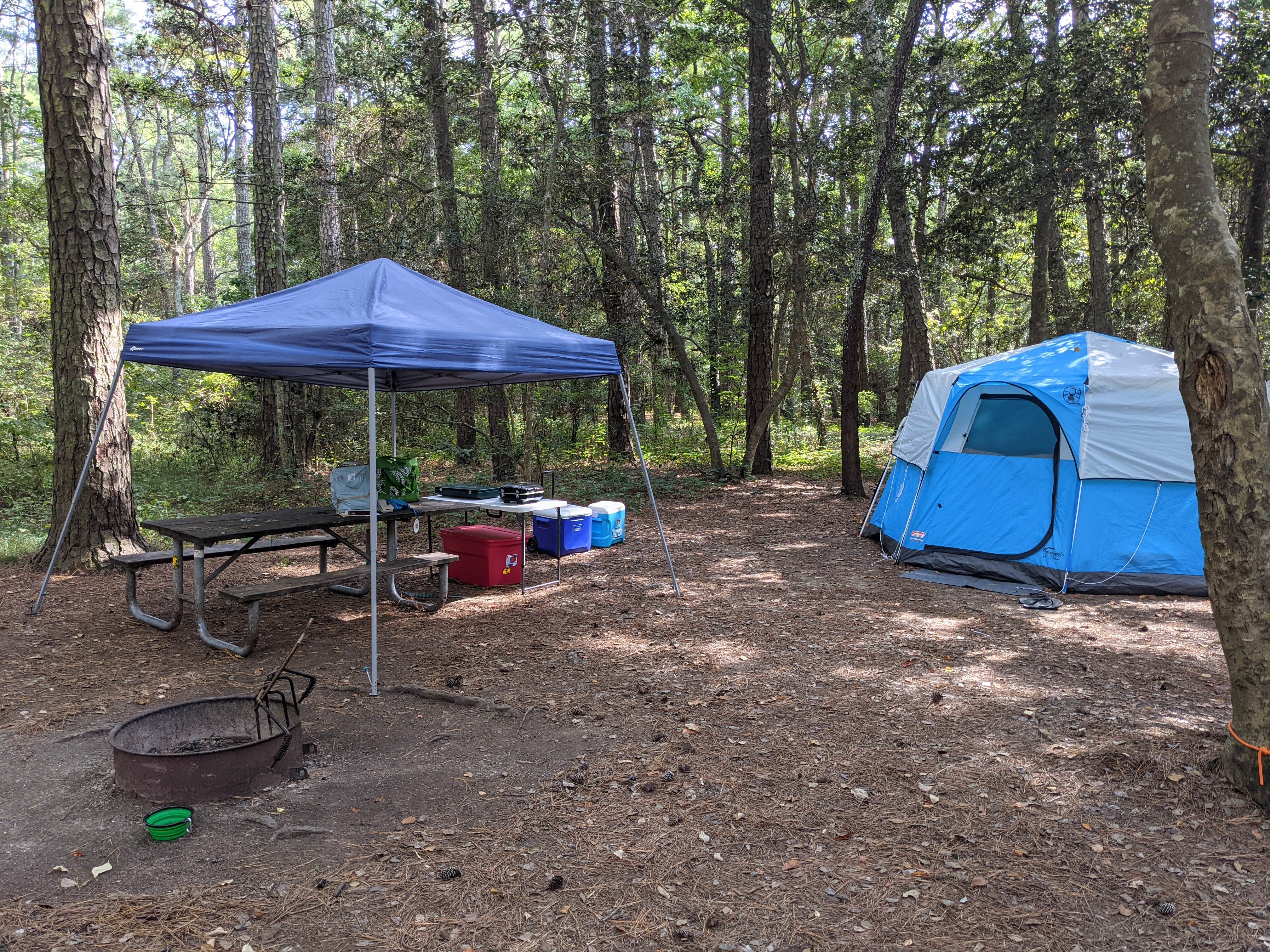 Kaylee G.'s photo at Kiptopeke State Park Campground near Norfolk, VA