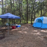 Review photo of Kiptopeke State Park Campground by Kaylee G., September 22, 2021