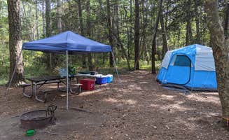 Kaylee G.'s photo at Kiptopeke State Park Campground near New Point, VA