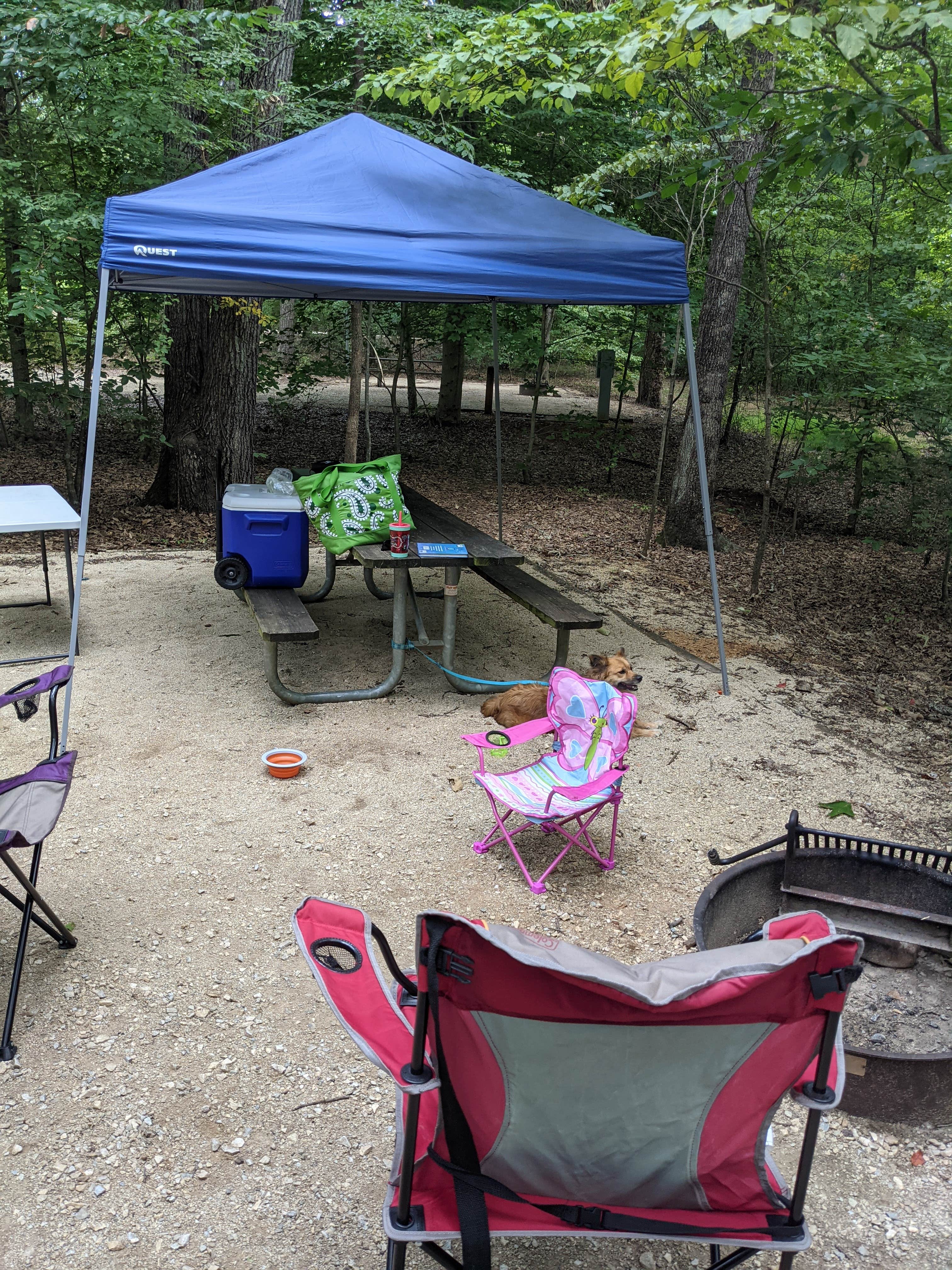 Kaylee G.'s photo of tent camping at Walnut Grove — James River State Park near Crozet, VA