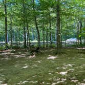 Review photo of Crawford Notch Campground by Kathy L., September 22, 2021