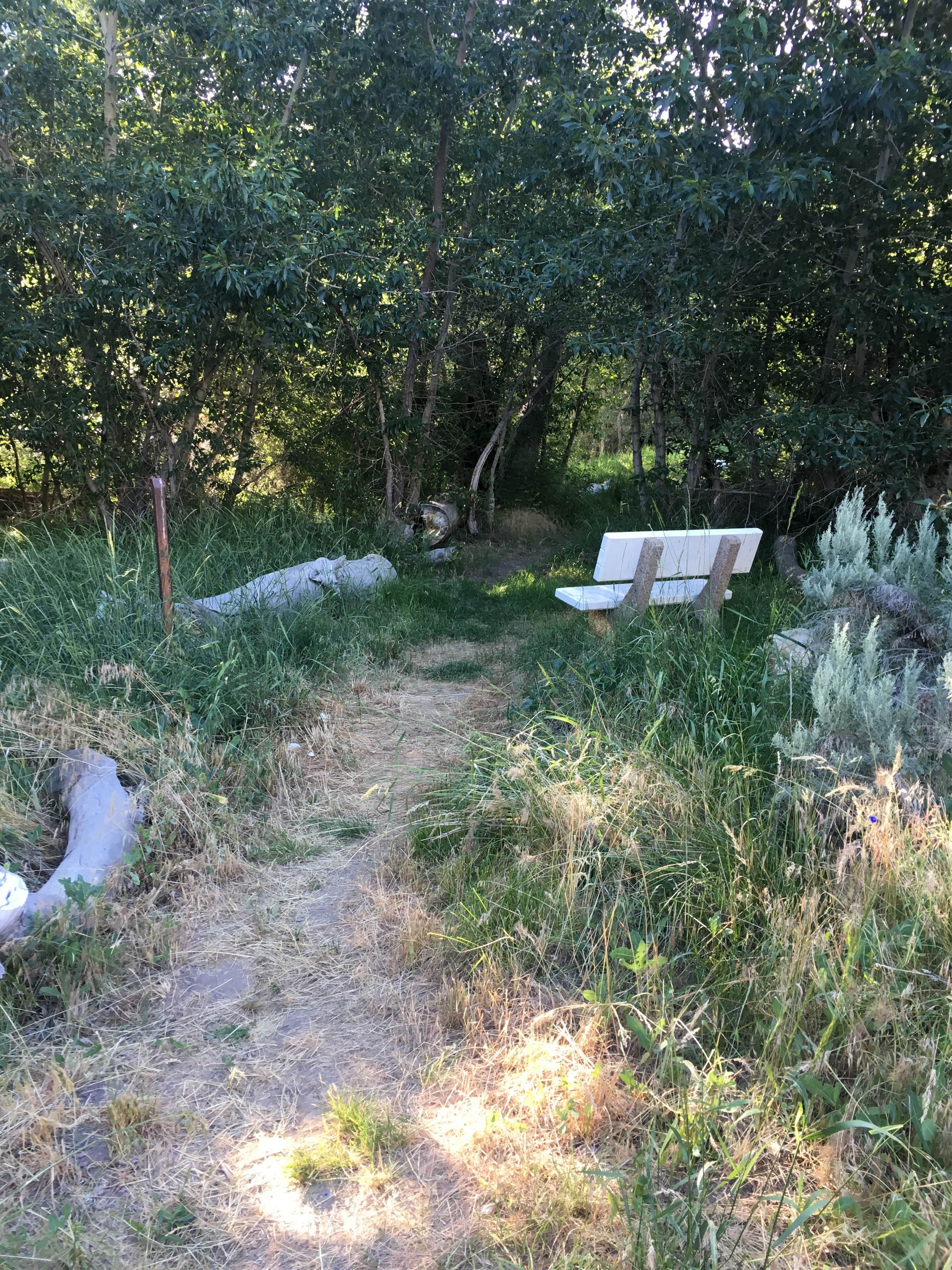 Camper-submitted photo at Water Canyon Recreation Area in Nevada