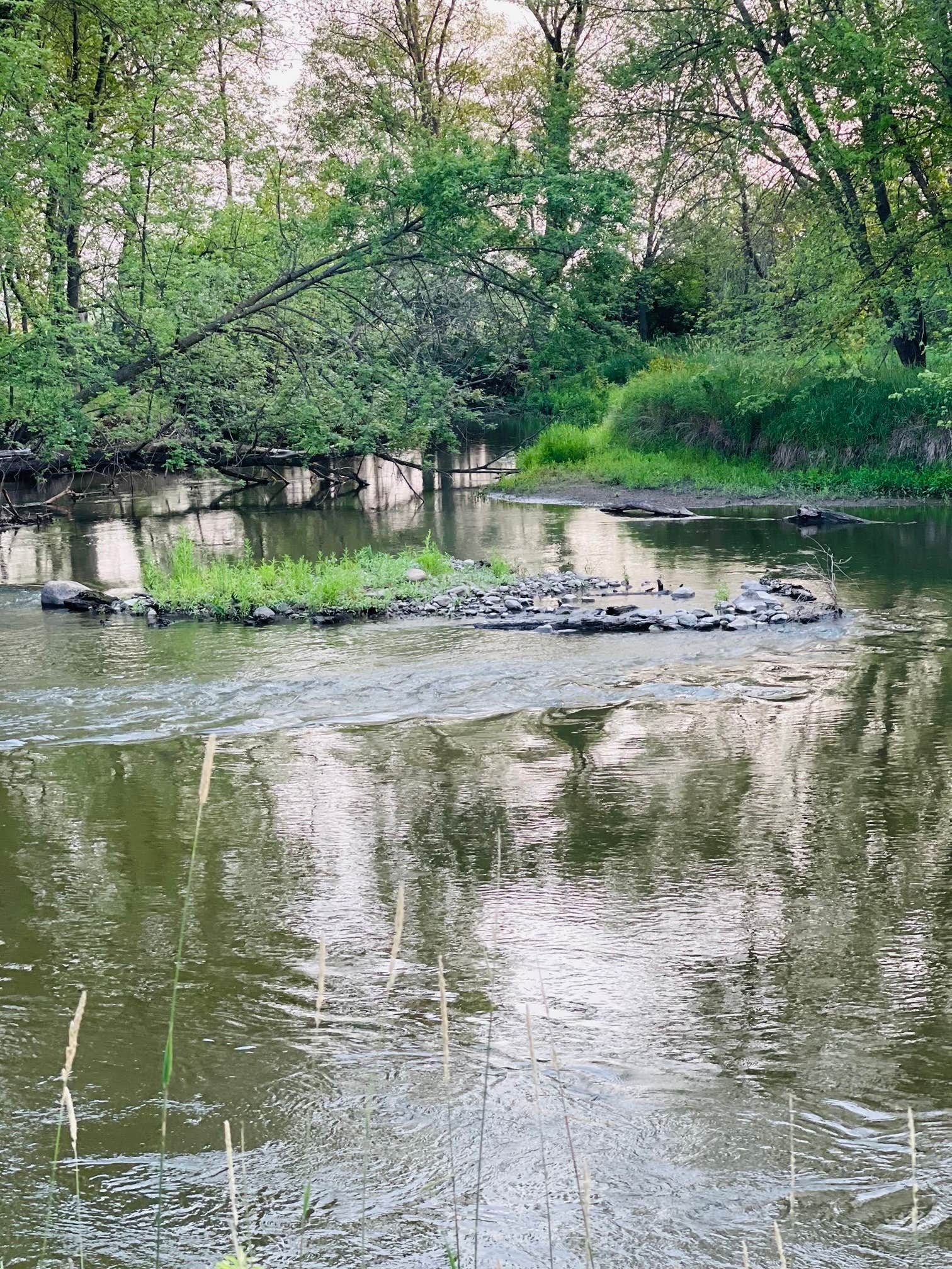 Camper submitted image from Siggelkov County Park - 1