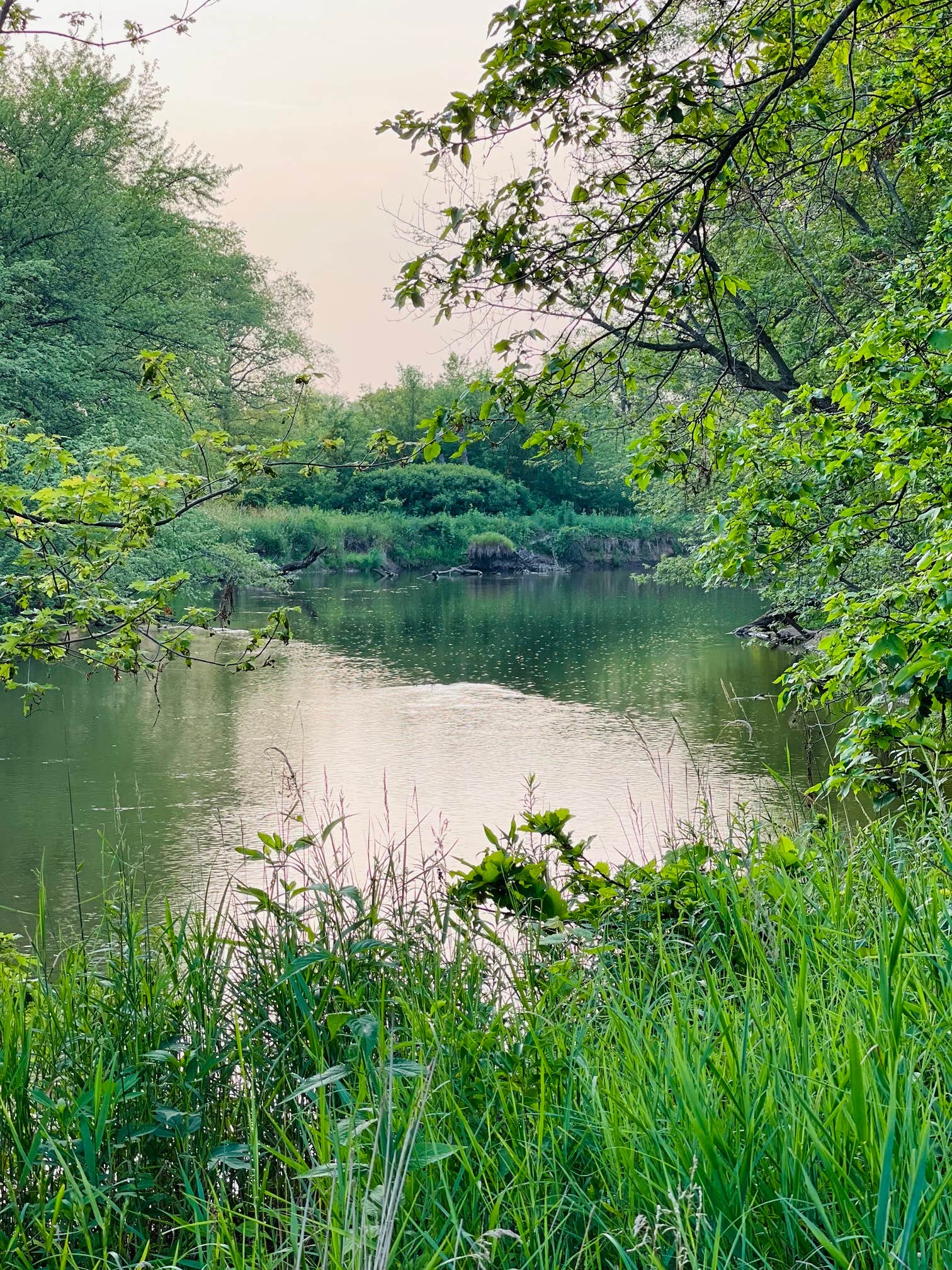 Camper-submitted photo at Siggelkov County Park near Waterloo, IA