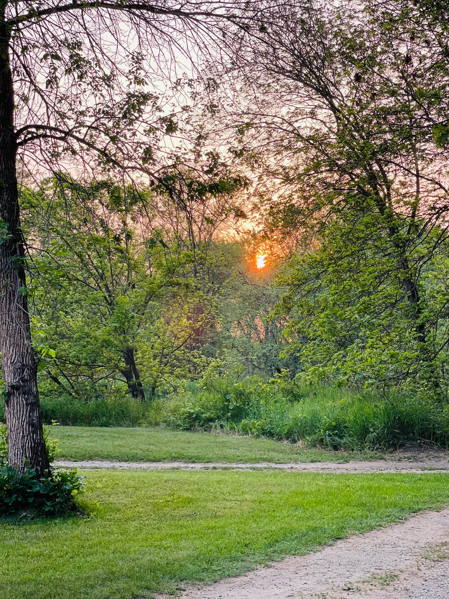Camper-submitted photo at Siggelkov County Park near Waterloo, IA