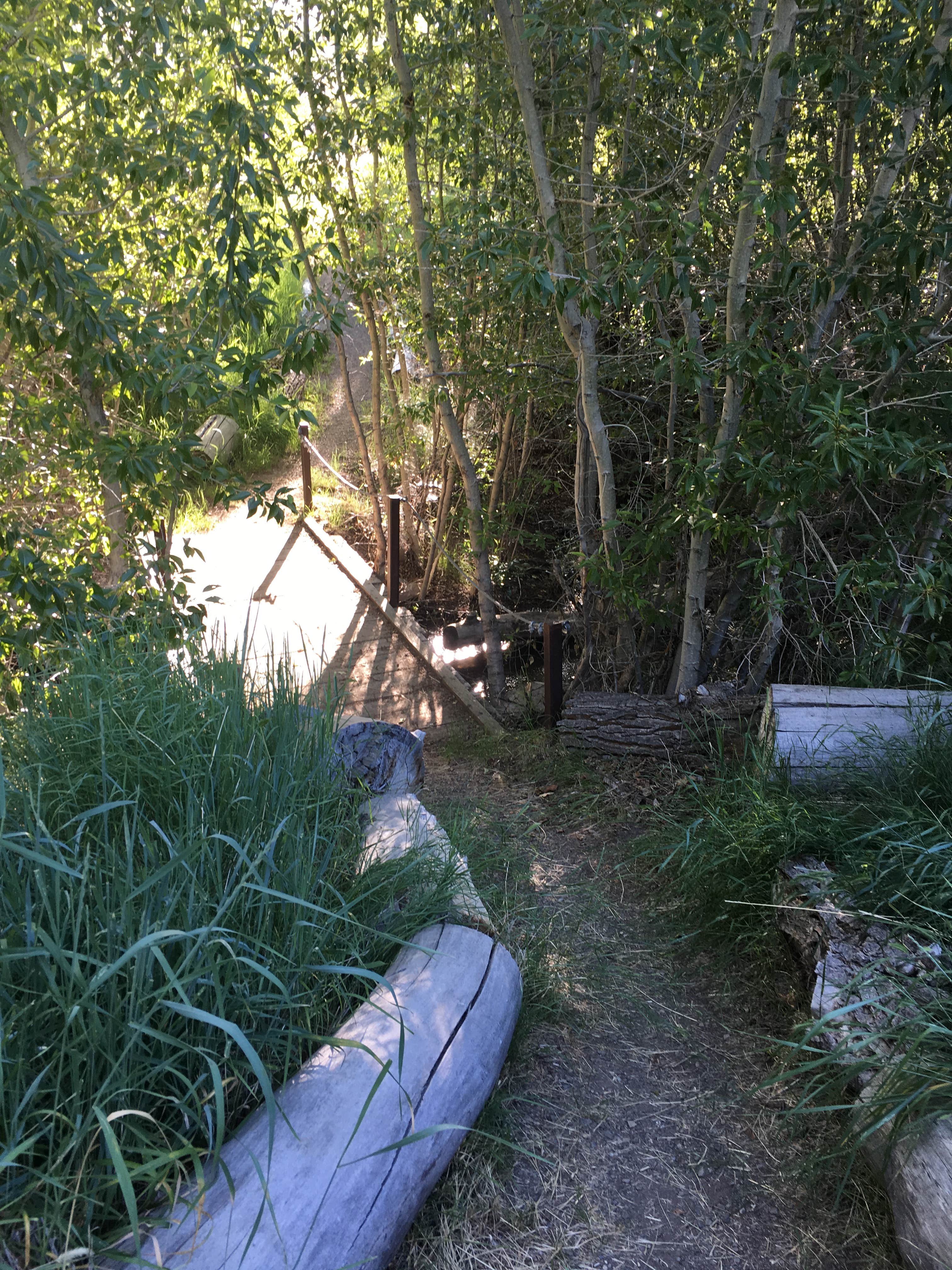 Camper-submitted photo at Water Canyon Recreation Area in Nevada