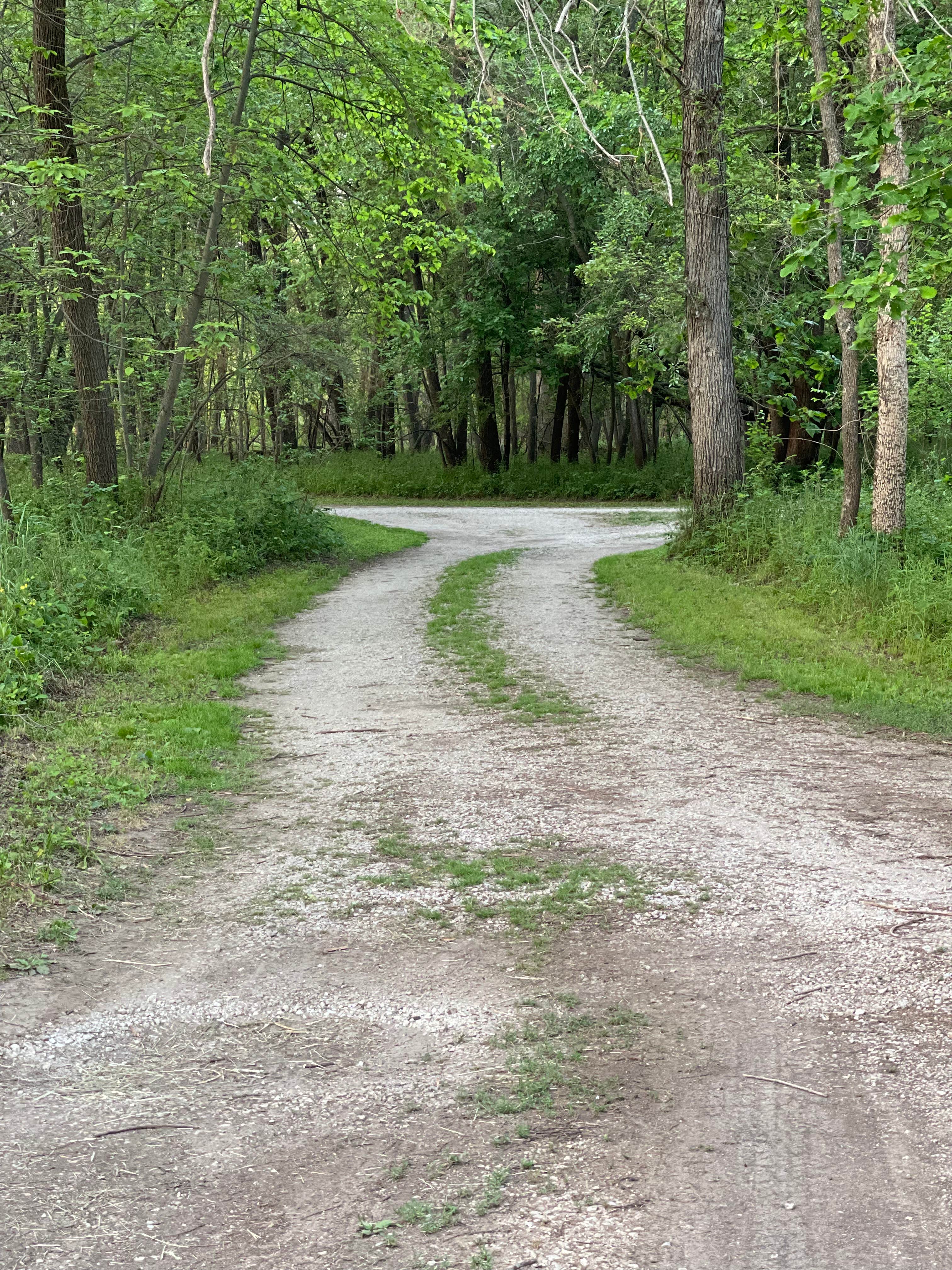 Camper submitted image from Siggelkov County Park - 4