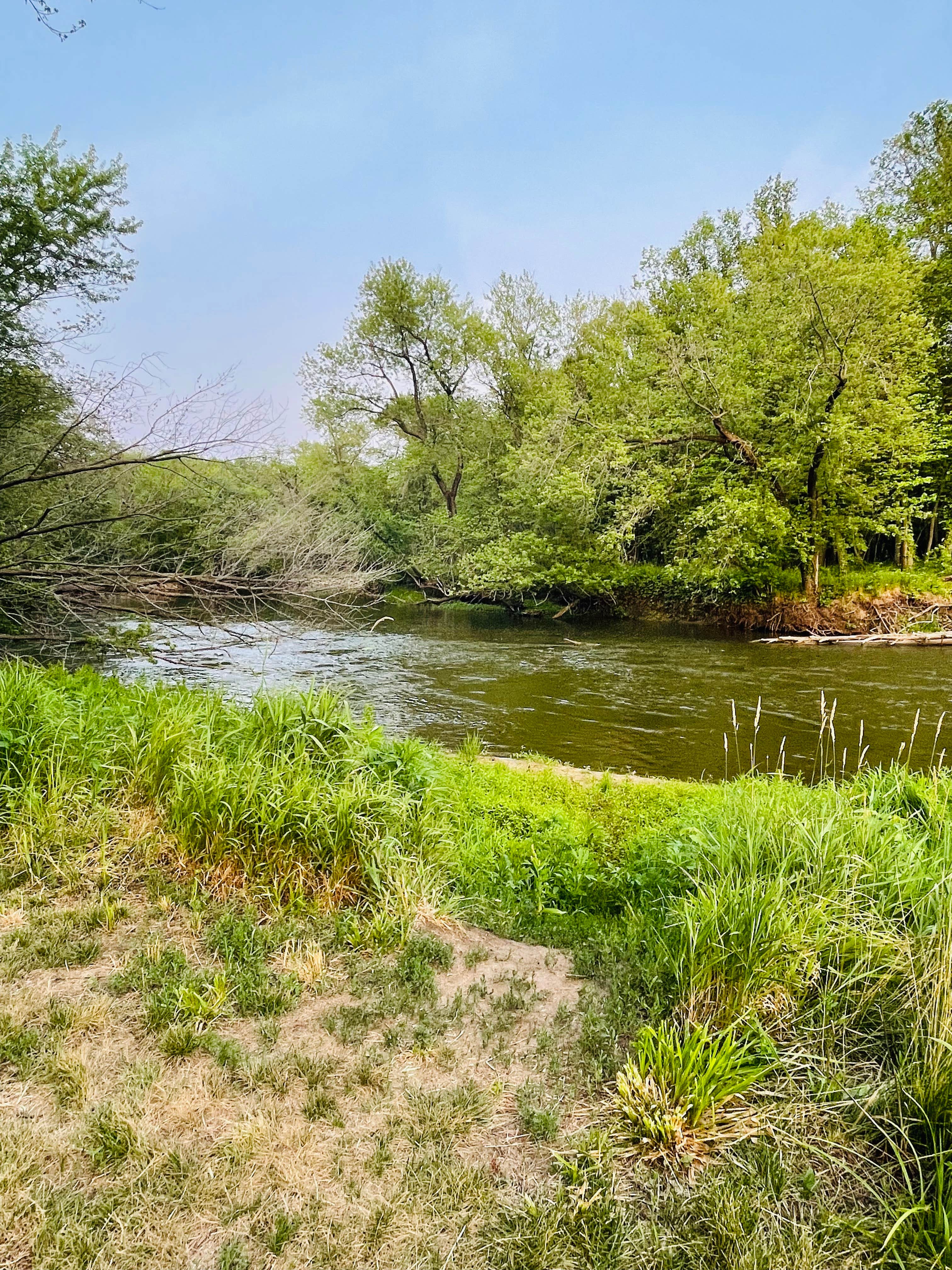 Camper submitted image from Siggelkov County Park - 3