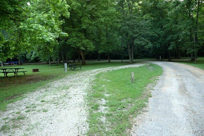 Camper submitted image from Markham Springs - 3