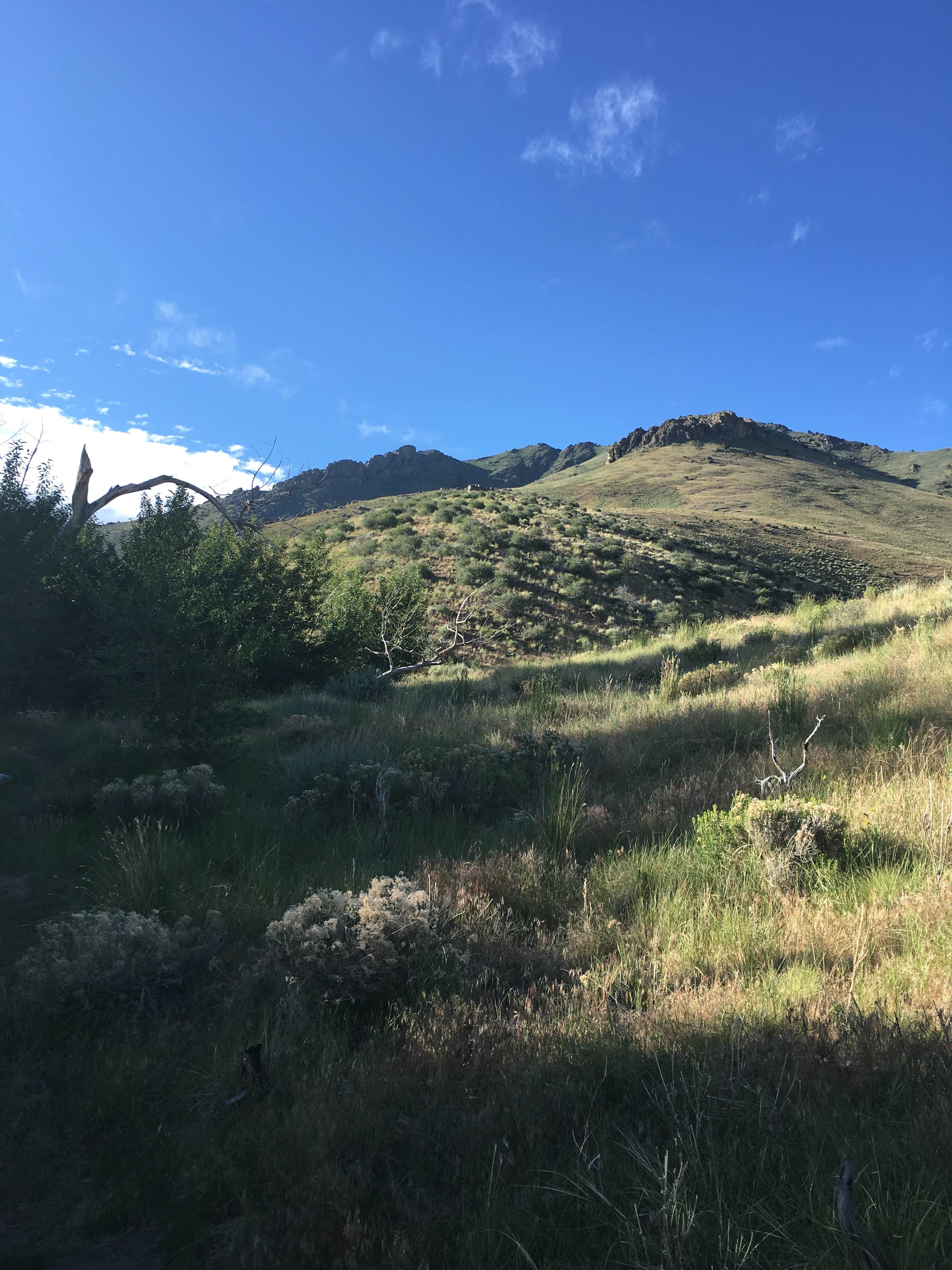 Nature