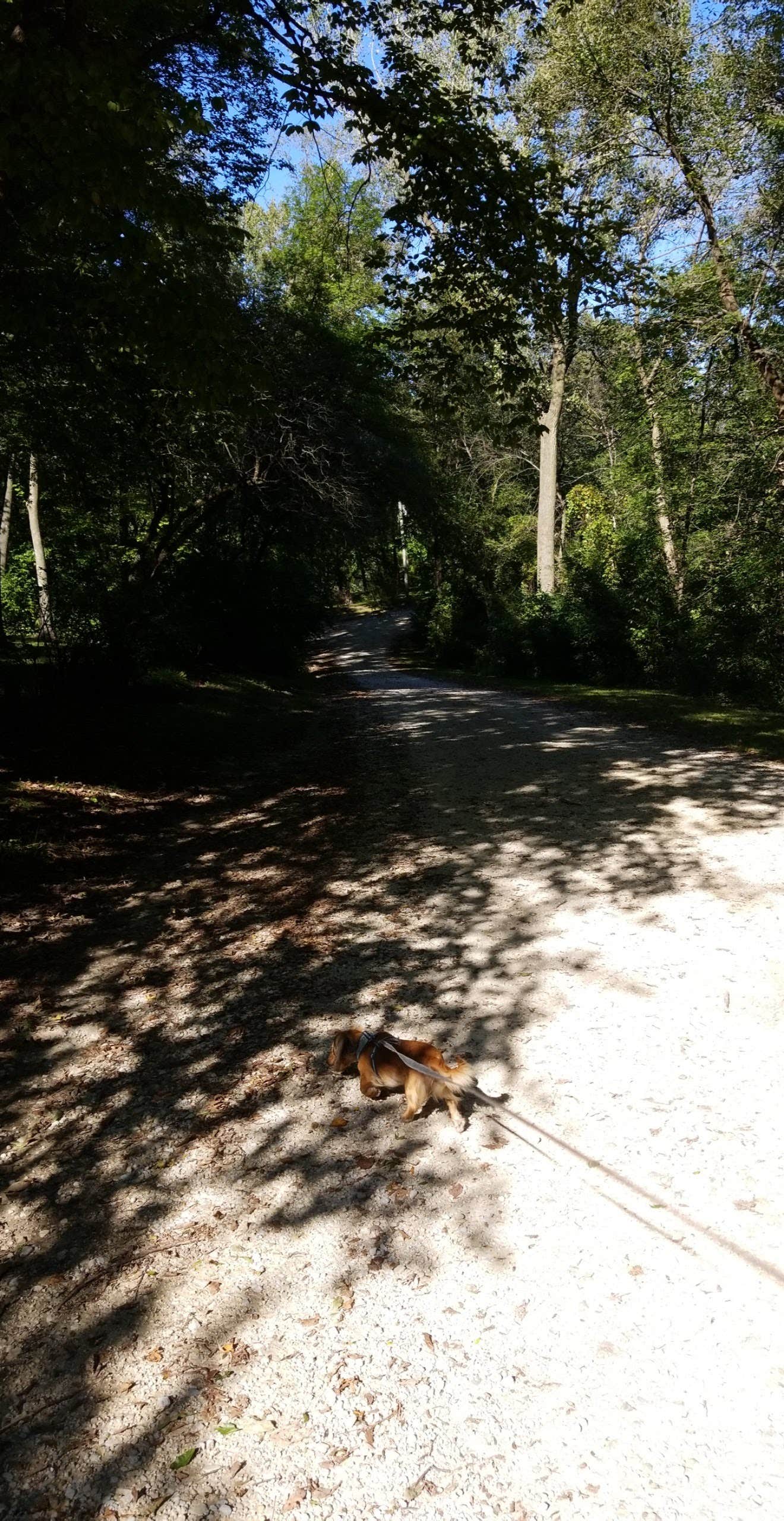 Camper submitted image from Bremer County Park Cedar Bend Park - 1