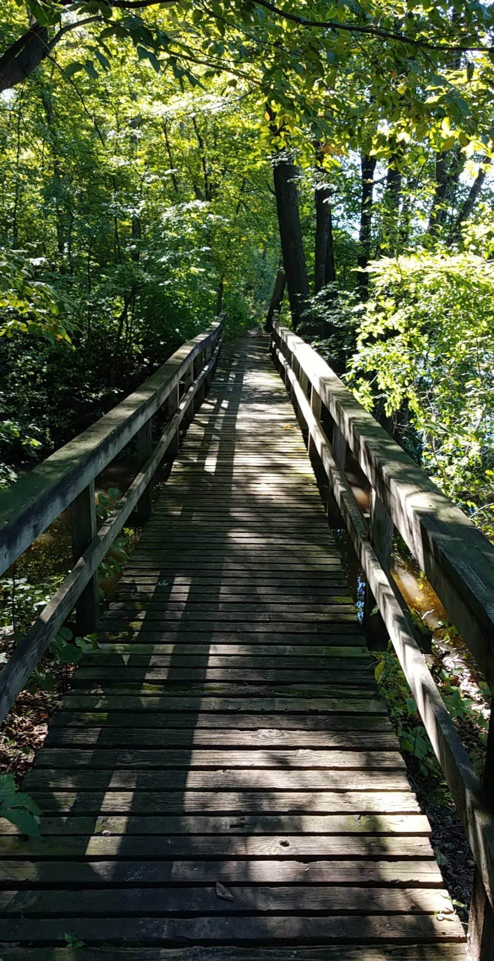 Camper-submitted photo at Bremer County Park Cedar Bend Park near Gladbrook, IA