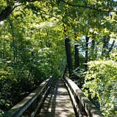 Review photo of Bremer County Park Cedar Bend Park by Chantal C., September 22, 2021