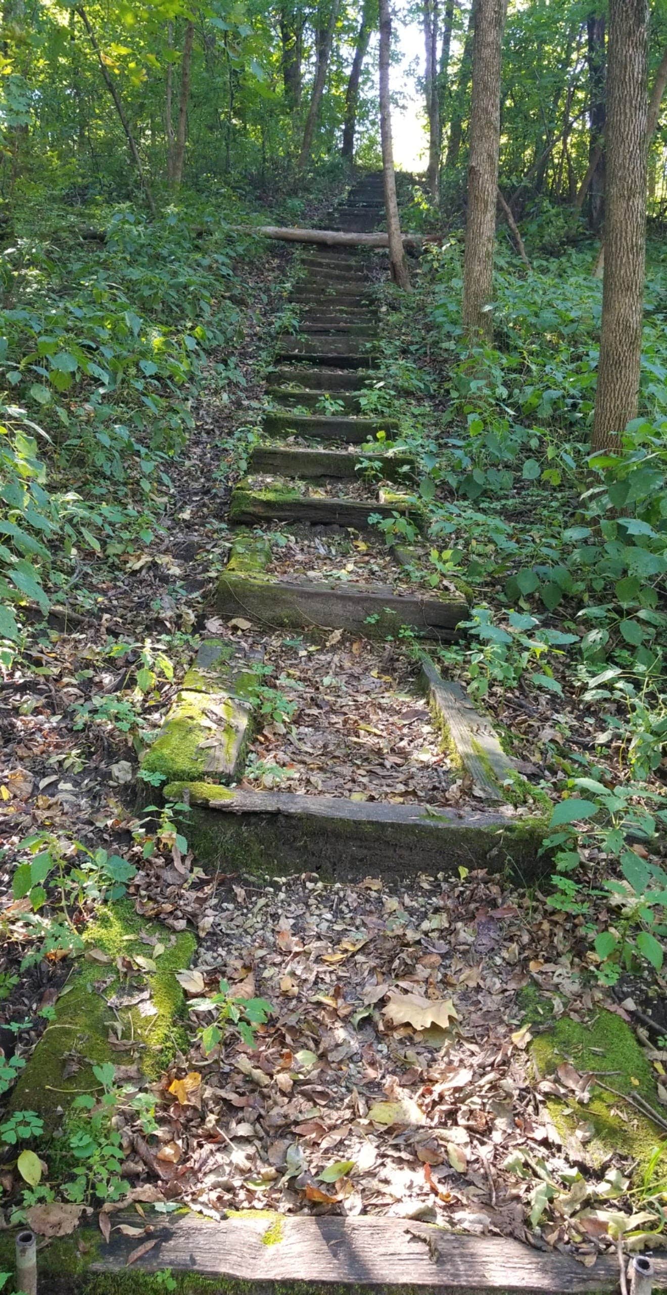 Camper-submitted photo at Bremer County Park Cedar Bend Park near Gladbrook, IA