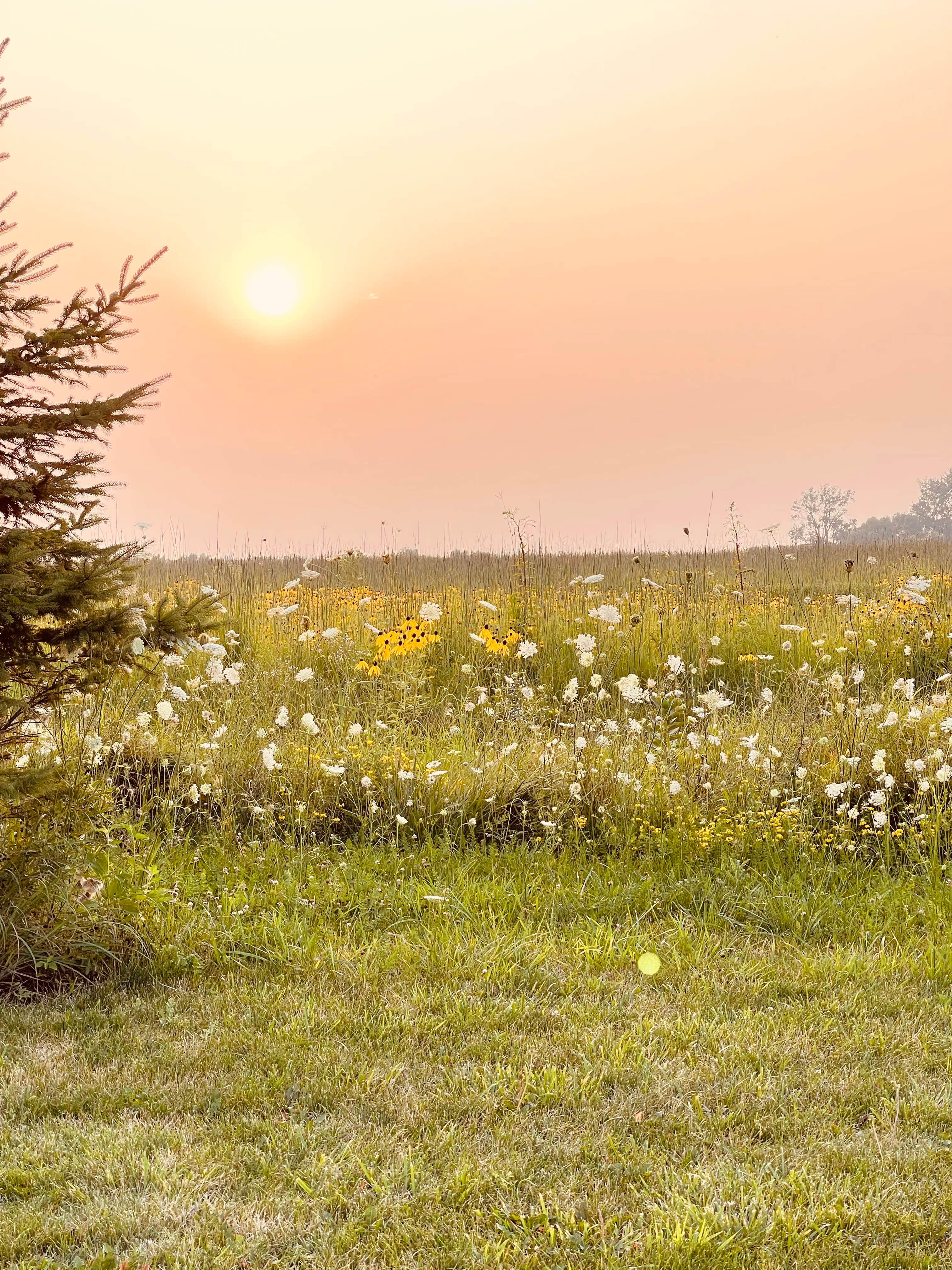 Camper-submitted photo at Grundy County Lake and Campground near Waterloo, IA