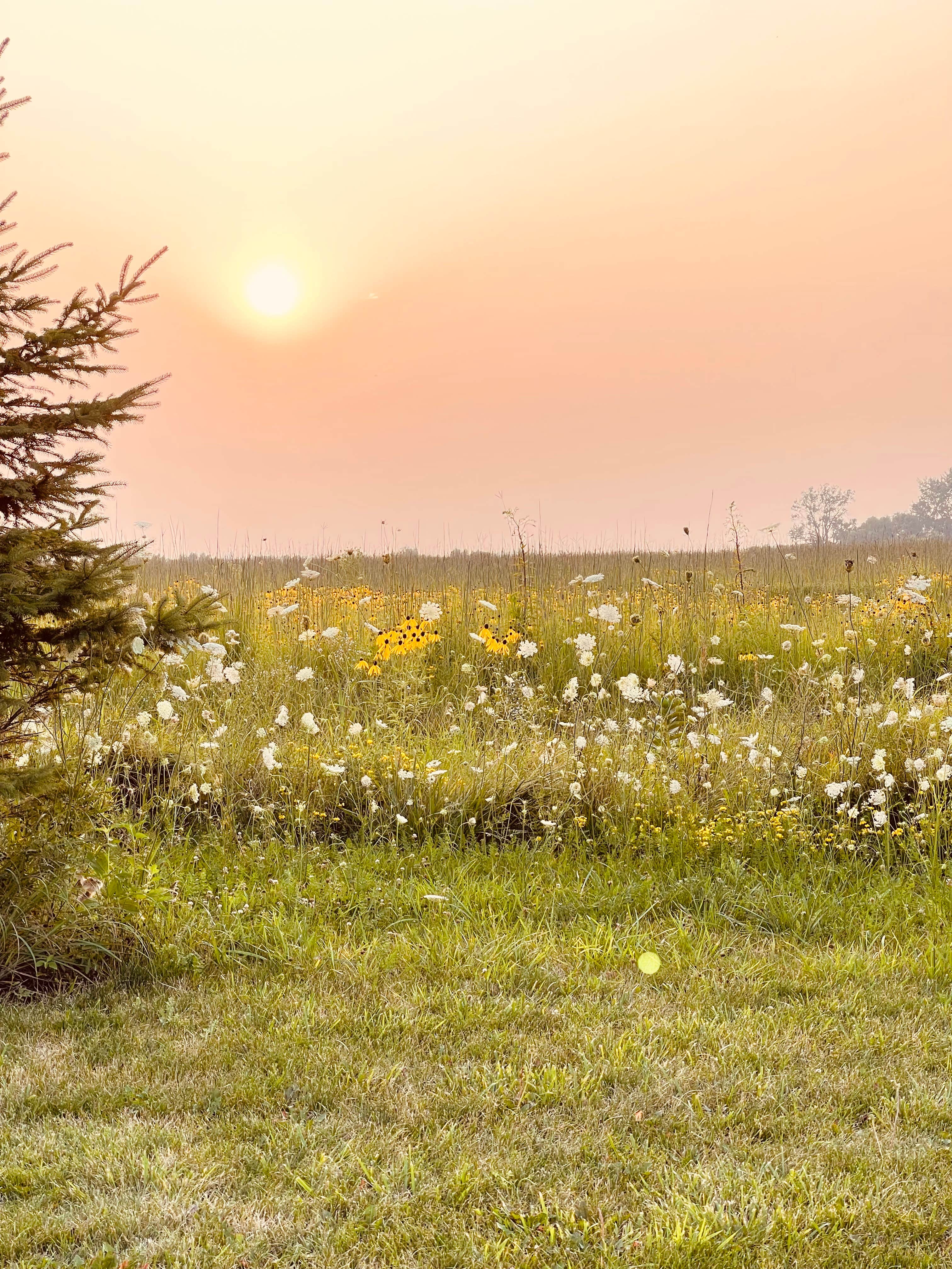 Camper submitted image from Grundy County Lake and Campground - 2