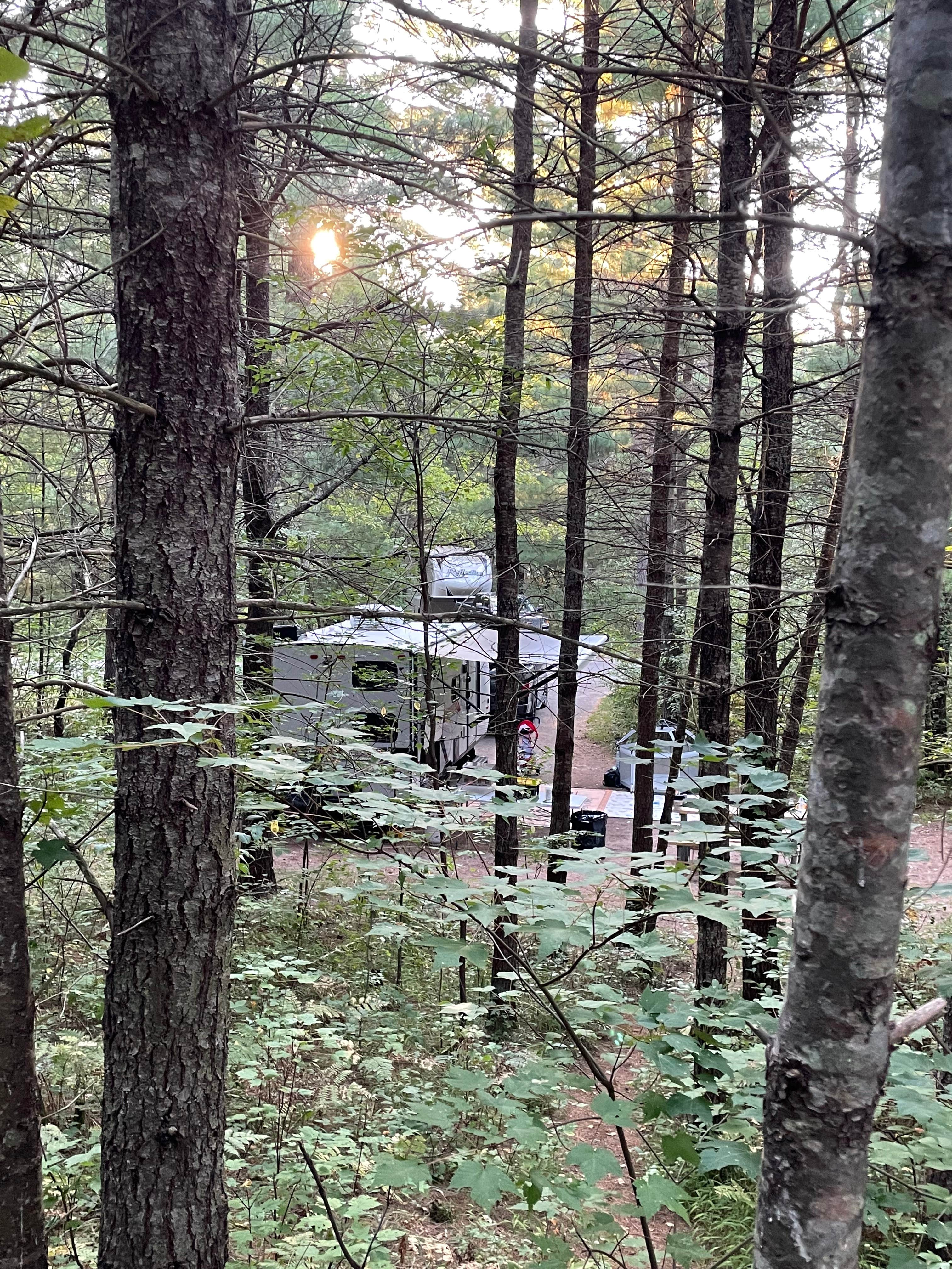 Camper submitted image from Hartwick Pines State Park Campground - 4