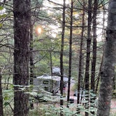 Review photo of Hartwick Pines State Park Campground by Alex H., September 21, 2021