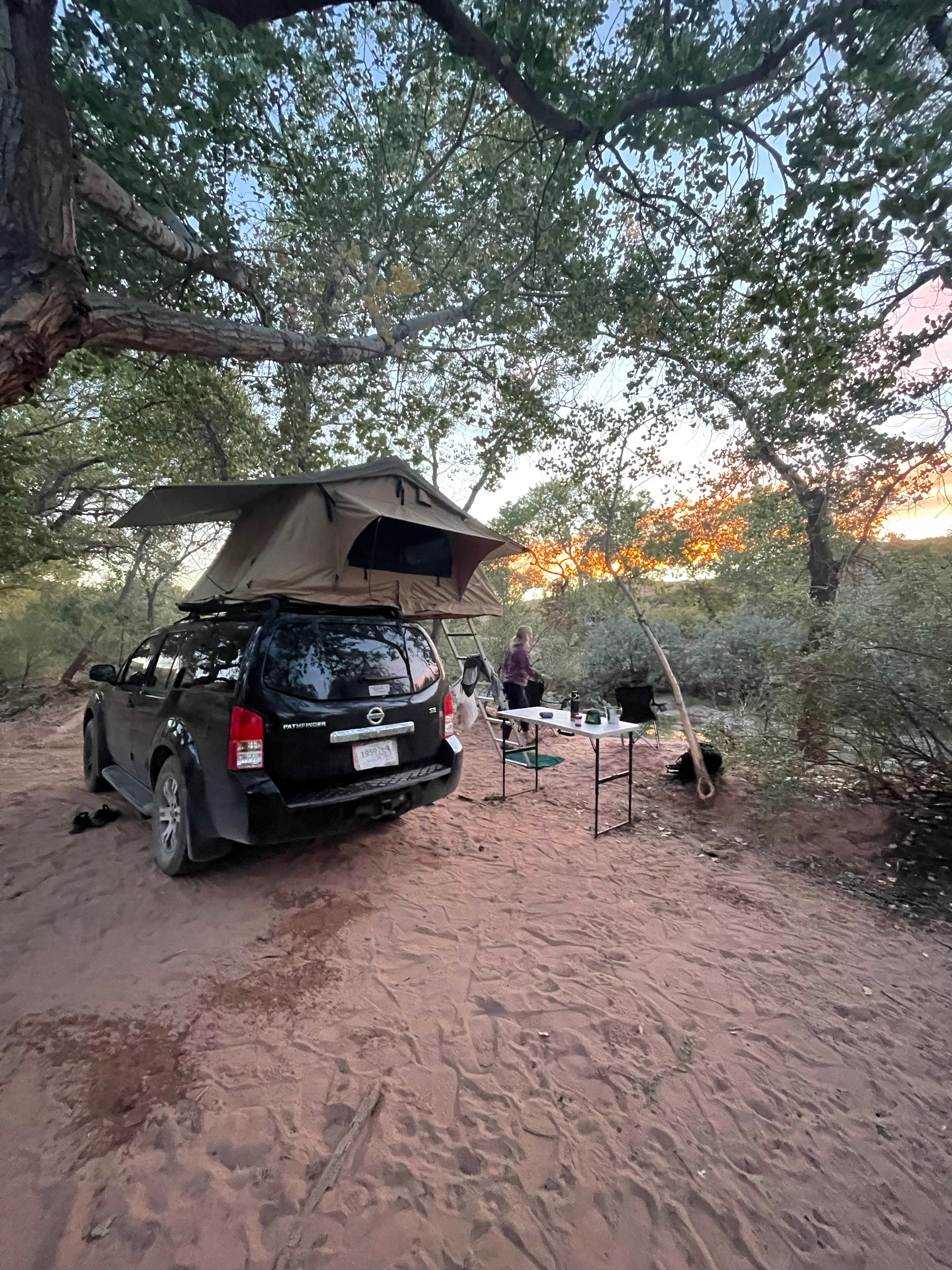 Camper submitted image from North Creek Dispersed Camping - 4