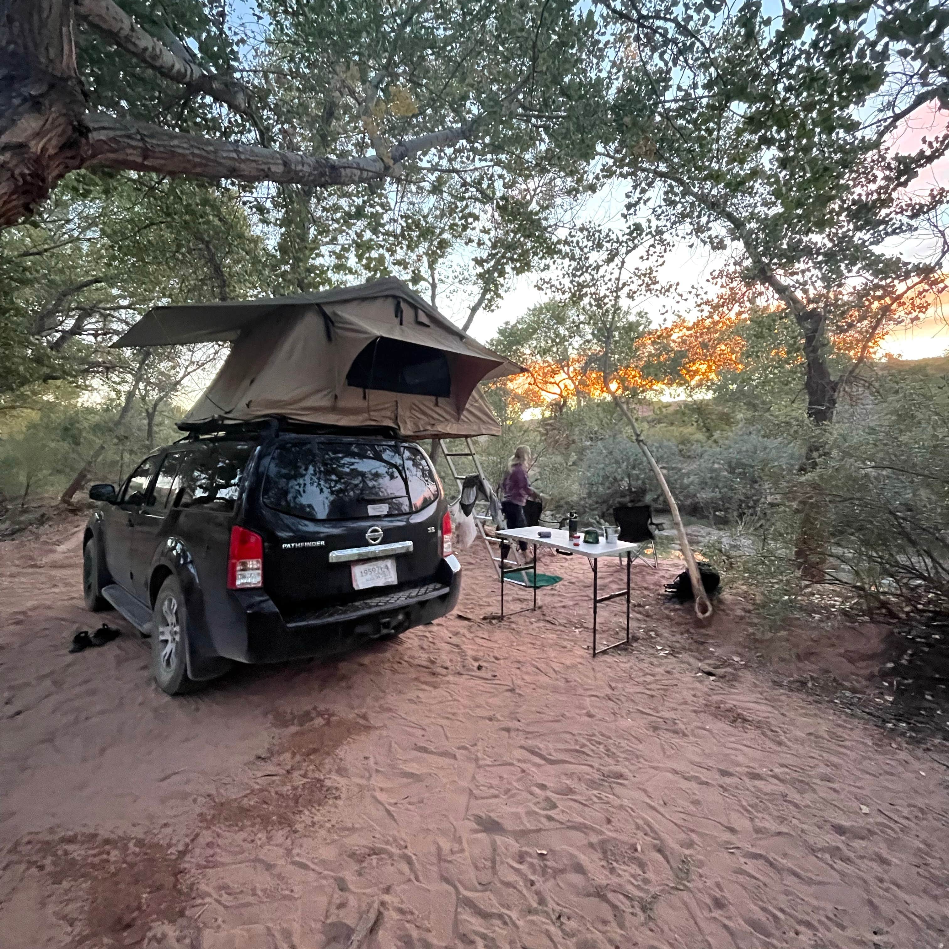 North Creek Dispersed Camping Camping | The Dyrt