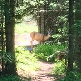 Review photo of Bull Prairie Campground (OR) by Jill S., July 1, 2018