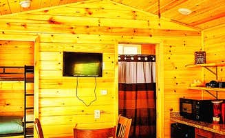 Ryan L T.'s photo of a cabin at Ludington East KOA near Arcadia, MI