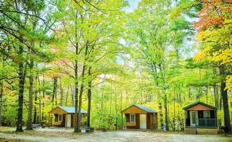 Ryan L T.'s photo of a cabin at Ludington East KOA near Evart, MI