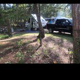 Review photo of Wilderness State Park Camping by Bill M., September 23, 2021