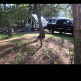 Review photo of Wilderness State Park Camping by Bill M., September 23, 2021