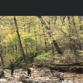 Review photo of Mccormick's Creek State Park Campground by Bill M., September 23, 2021