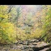 Review photo of Mccormick's Creek State Park Campground by Bill M., September 23, 2021
