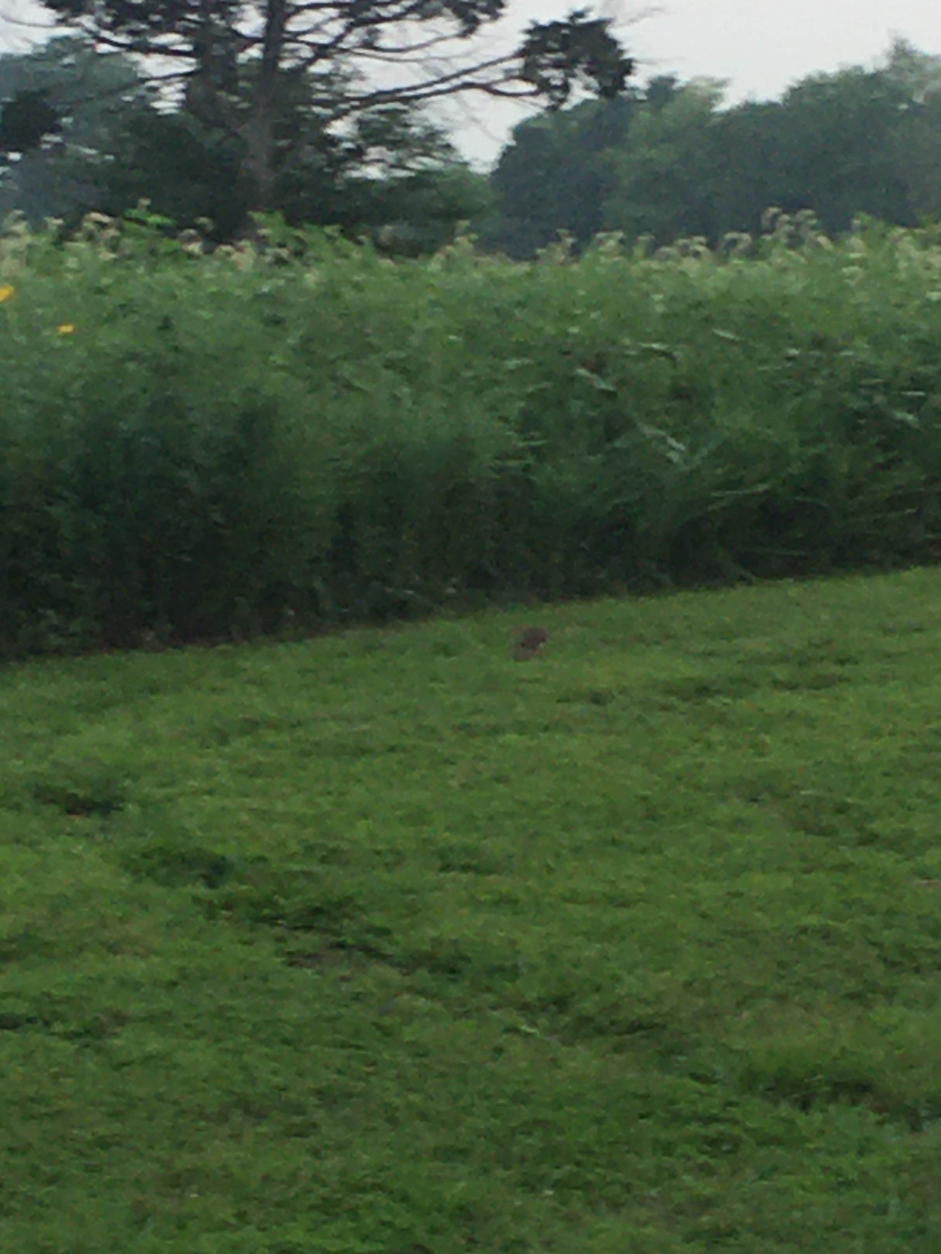 Camper-submitted photo at Labette County Lake Parsons Campground near Big Hill Lake