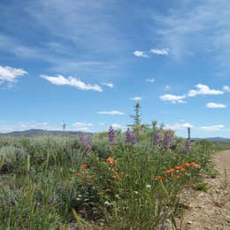 North Wild Horse Recreation Area