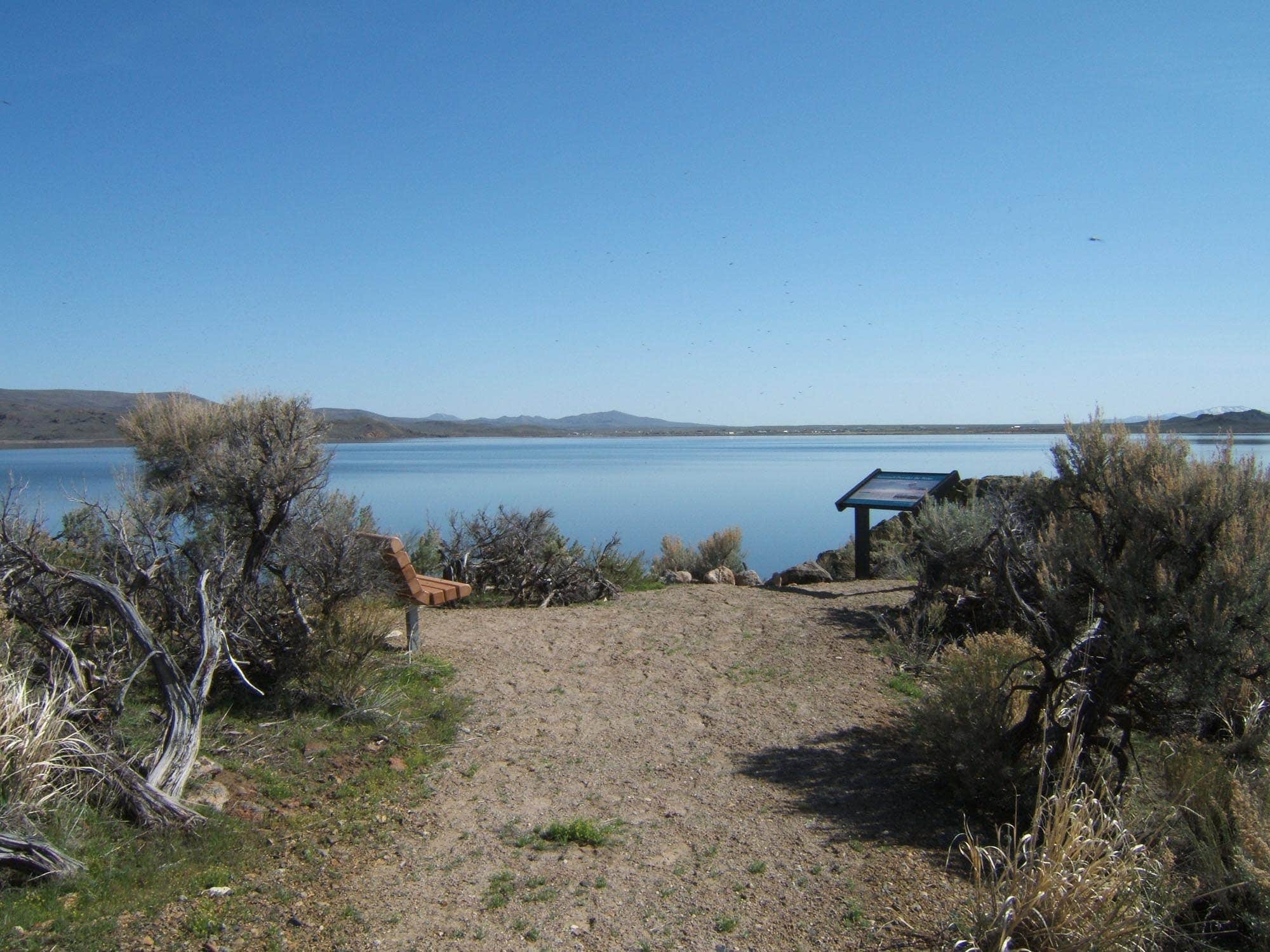 Camper submitted image from North Wild Horse Recreation Area - 5