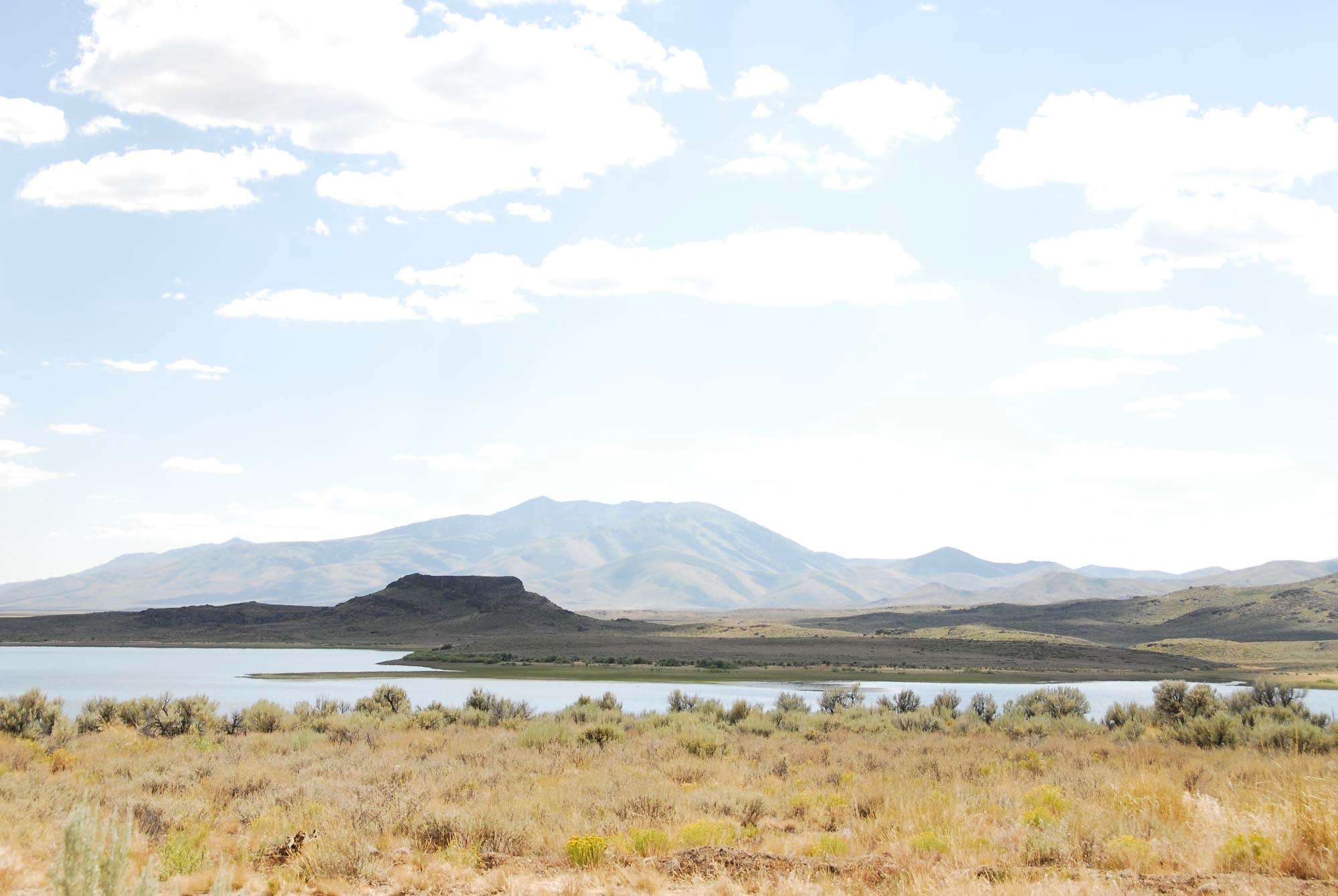 Camper-submitted photo at North Wild Horse Recreation Area near Owyhee, NV