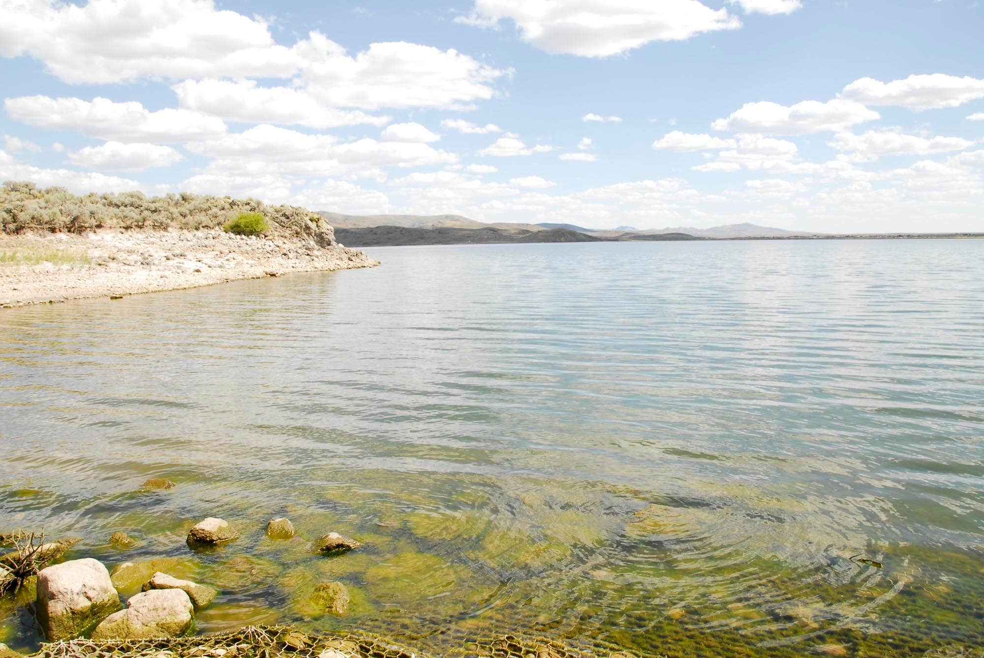 Camper-submitted photo at North Wild Horse Recreation Area near Owyhee, NV